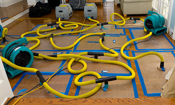 Professional Structural Drying And Dehumidification technician working in Northbridge, MA